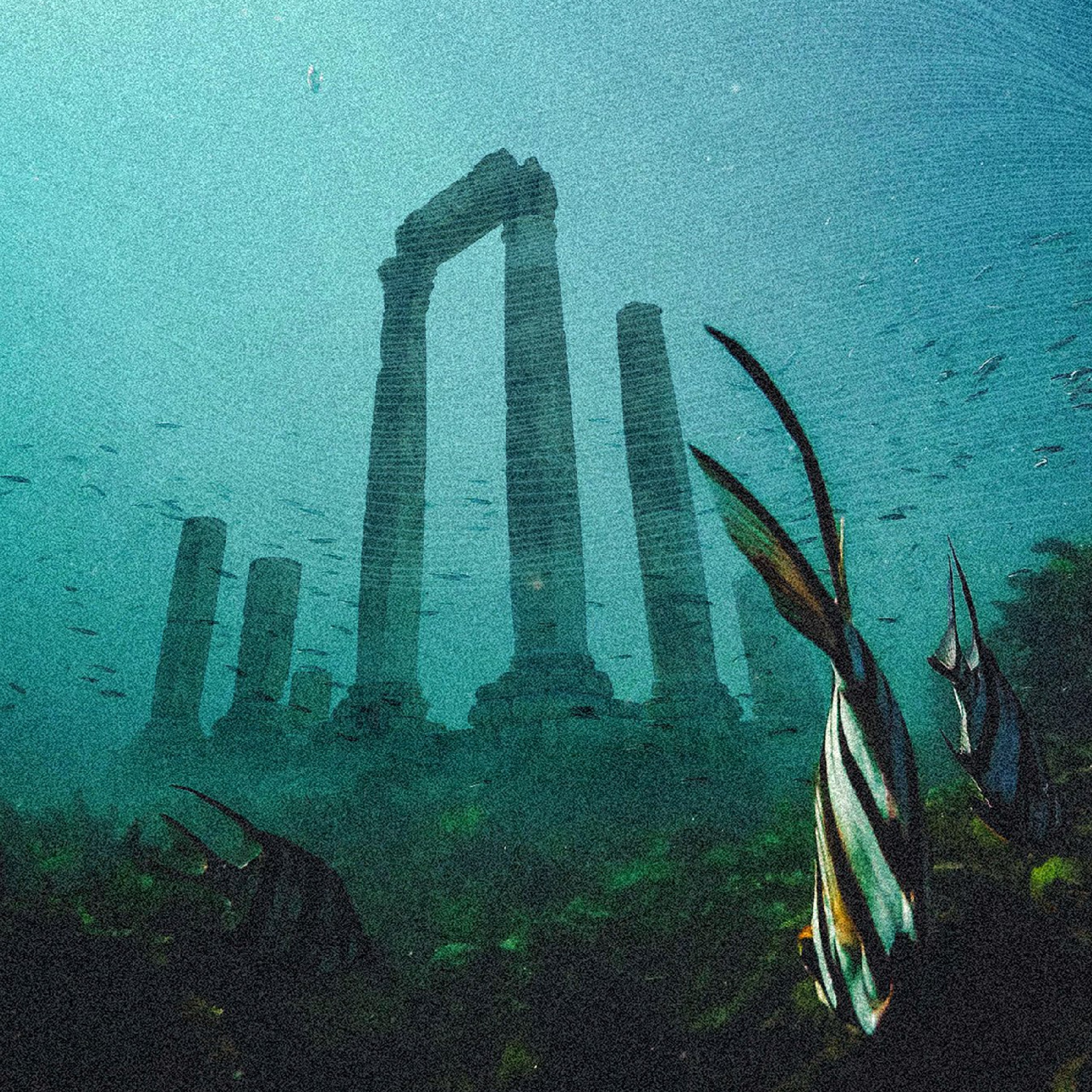 Chasing Underwater Drones - ミッション。