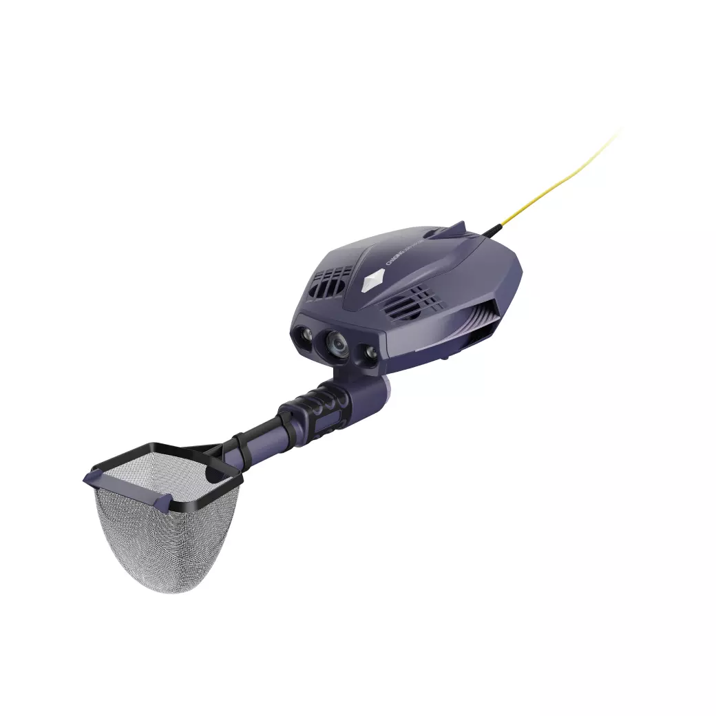 Chasing Dory Explor…